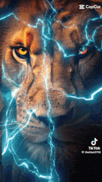 a close up of a lion with lightning behind it