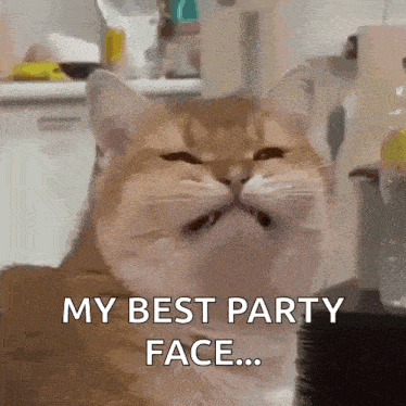 a close up of a cat 's face with the words my best party face