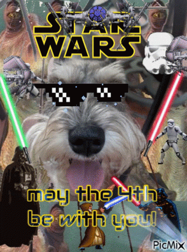 Otto Otto Dog GIF - Otto Otto Dog Star Wars GIFs