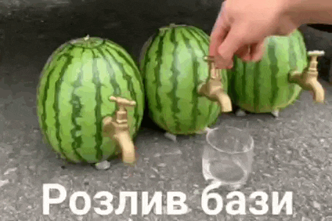 a person is pouring water into a glass from watermelons with faucets .