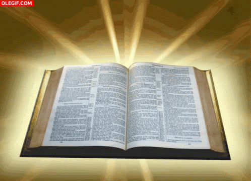 The Word Holy GIF - The Word Holy Bible GIFs
