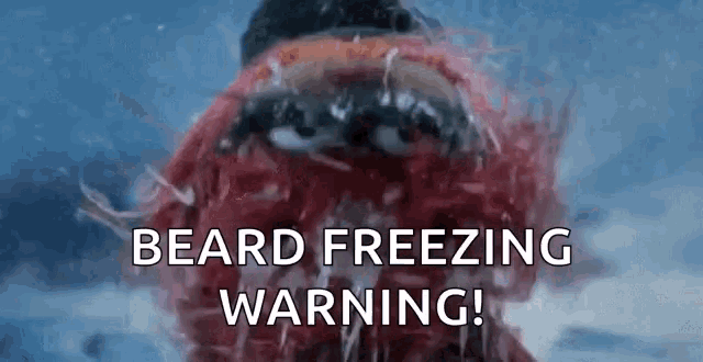 a close up of a beard freezing warning sign with a cartoon character in the snow .