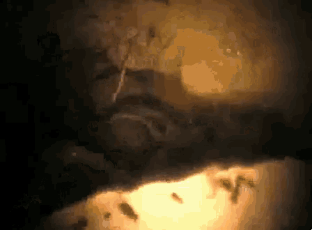 a dark room with a light coming out of the corner .