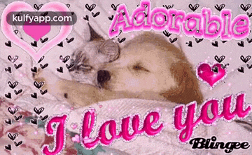 a dog is sleeping on a bed with the words `` i love you '' written in pink .