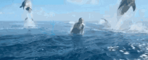 a woman is swimming in the ocean while dolphins jump out of the water