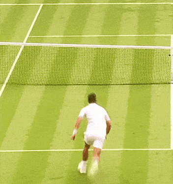 Novak Djokovic Net GIF