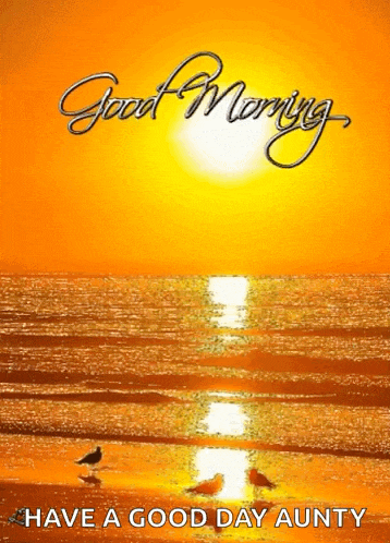 two seagulls on a beach at sunset with the words good morning have a good day aunty