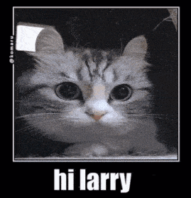 a picture of a cat with the words hi larry above it