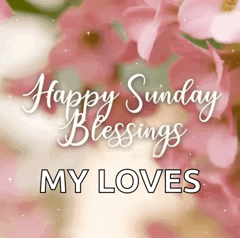happy sunday blessings my loves is written on a picture of pink flowers .