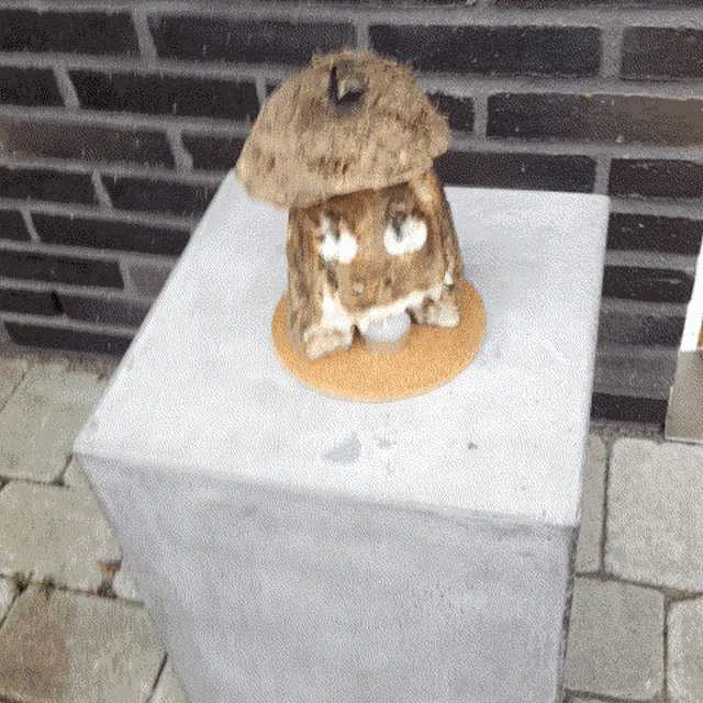 a statue of a mushroom is on a concrete block