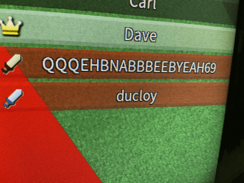a computer screen shows the name dave and the username ducloy