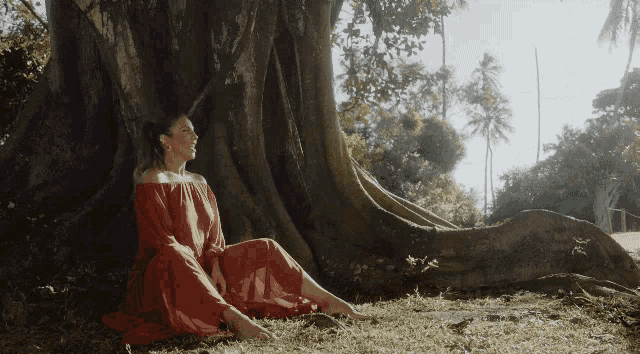 a woman in a red dress sits under a tree in the grass