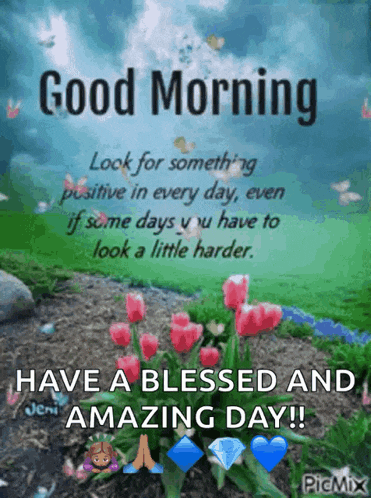 good morning look for something positive in every day even if some days you have to look a little harder