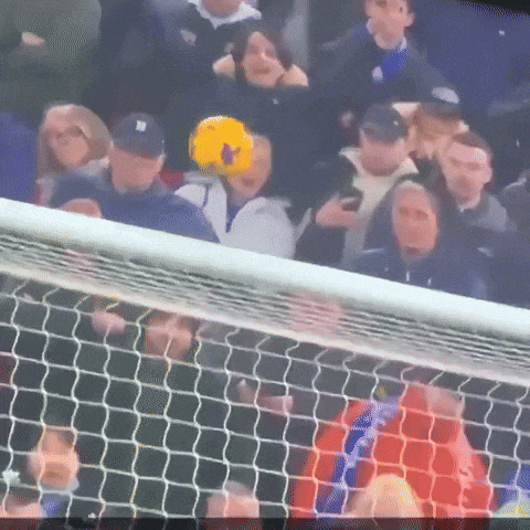 a group of people are watching a soccer game and one of them has a yellow ball on his head with the letter n on it