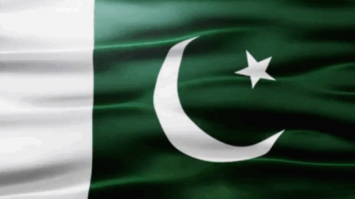 Pakistan Flag Gif GIF - Pakistan Flag Gif Asia GIFs