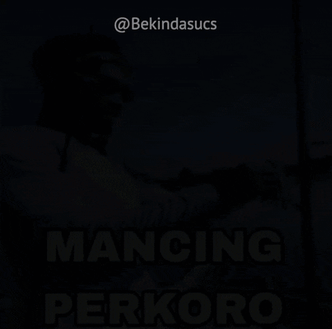Mancing Perkoro GIF - Mancing Perkoro GIFs