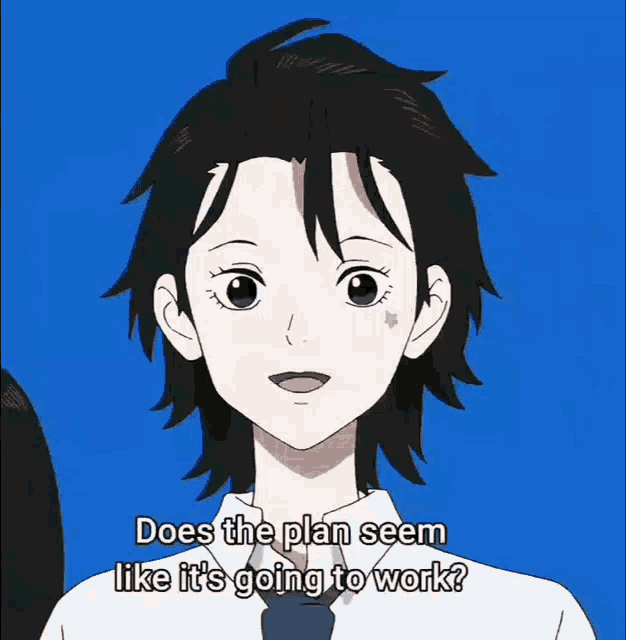 does the plan seem like it 's going to work written on a blue background