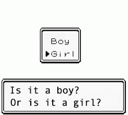 Boy Or Girl GIF - Boy Or Girl GIFs