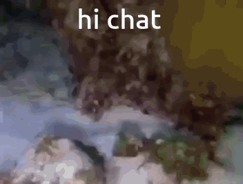 Vivelacrab Hi Chat GIF - Vivelacrab Hi Chat Hi GIFs