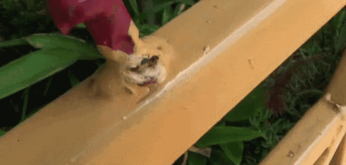 a person is cutting a piece of wood with a knife