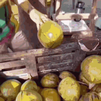 a bunch of pears are in a wooden crate