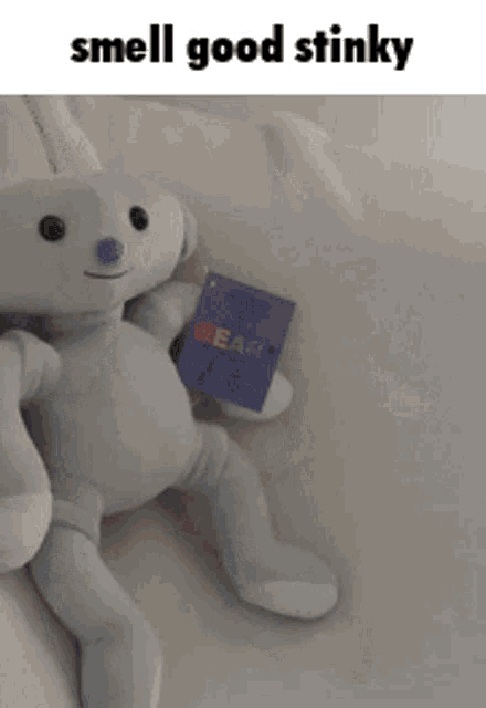 a teddy bear with a tag that says smell good stinky on it
