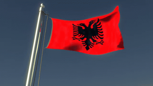 Flag Flag Waver GIF - Flag Flag Waver Albania GIFs