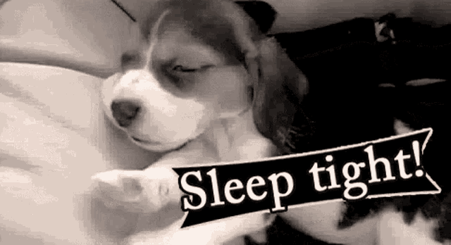 a puppy is sleeping next to a sign that says sleep tight !