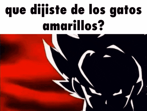 a cartoon character with the words que dijiste de los gatos amarillos written on it