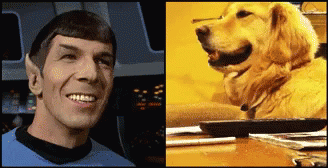 Spock Smile GIF - Spock Smile Dog GIFs