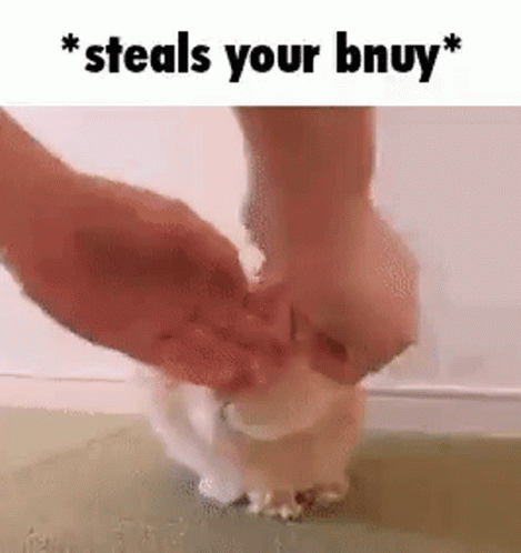 Bunny Bnuuy GIF - Bunny Bnuuy Steals Your Bunny GIFs