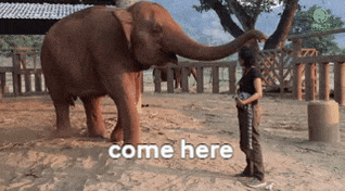 a woman standing next to an elephant with the words come here written below it