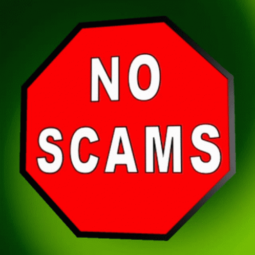 No Scamming No Scams GIF - No Scamming No Scams Stop Scamming GIFs