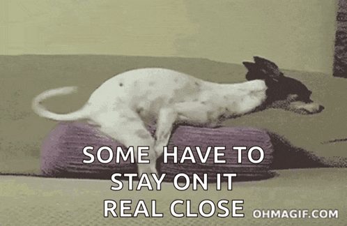 a dog is laying on a purple pillow with the words " some have to stay on it real close "