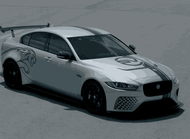 a white jaguar with a black stripe on the side
