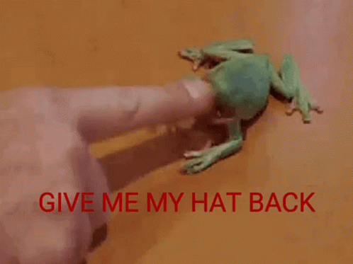 Frog Hat GIF - Frog Hat Give GIFs