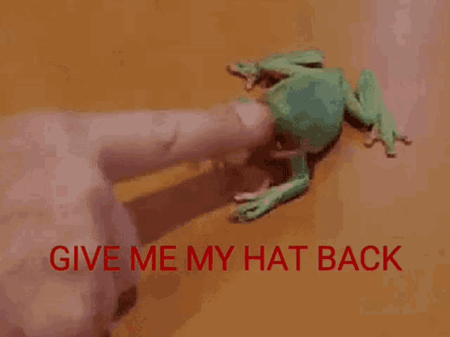 a frog is sitting on a person 's finger with the words `` give me my hat back '' below it .