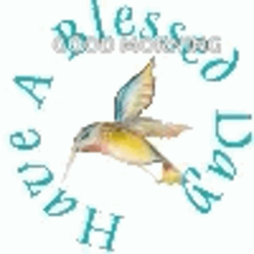 Have A Blessed Day Bird GIF - Have A Blessed Day Bird Spinning GIFs