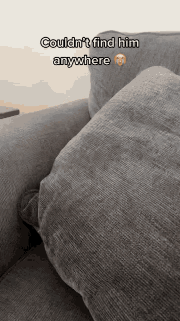 a grey couch with the words couldn 't find him anywhere written on it