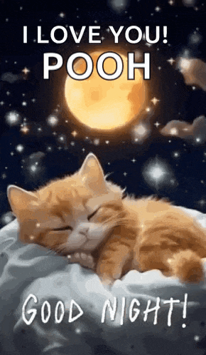 a cat is sleeping on a pillow with the words `` i love you pooh '' written on it .