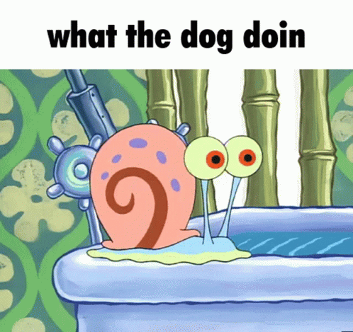 What The Dog Doin Dog GIF - What The Dog Doin Dog Gary GIFs