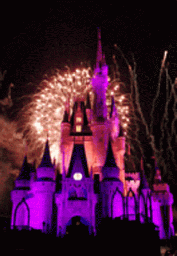 Disney Magic Kingdom GIF