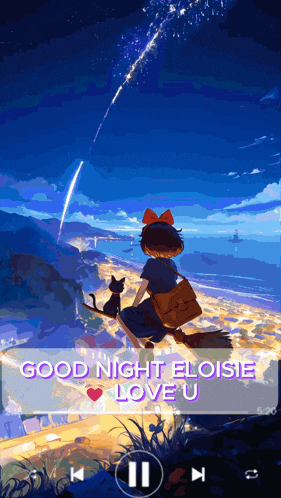 a girl sitting on a broom with a cat and the words " good night eloise love u "