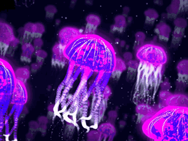 Jellyfish Purple GIF - Jellyfish Purple Jellyfish GIFs
