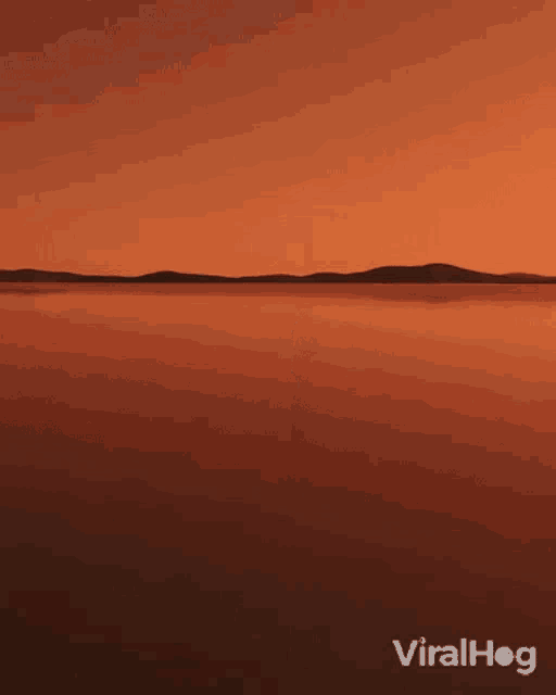 Lake Viralhog GIF - Lake Viralhog Sunset GIFs