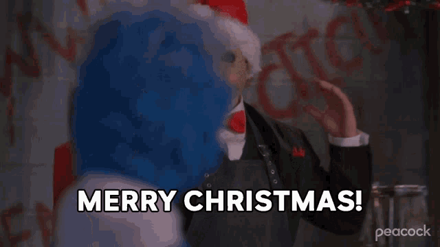 a man wearing a santa hat and bow tie says merry christmas .