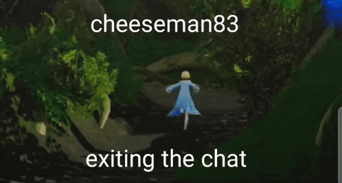 a cartoon of a woman in a blue dress running down a path with the words exiting the chat above her