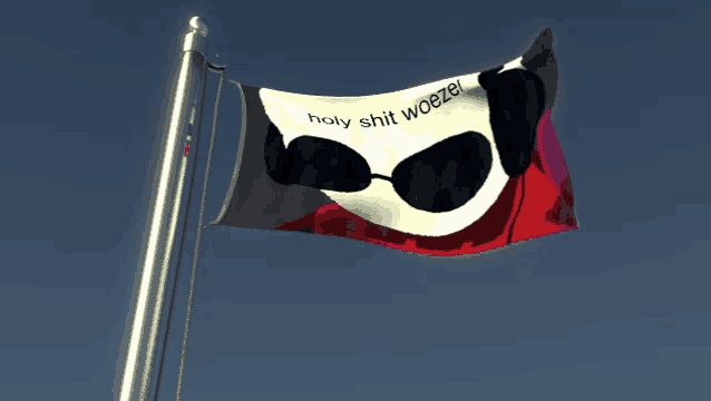 a flag that says holy shit woezel is waving in the wind