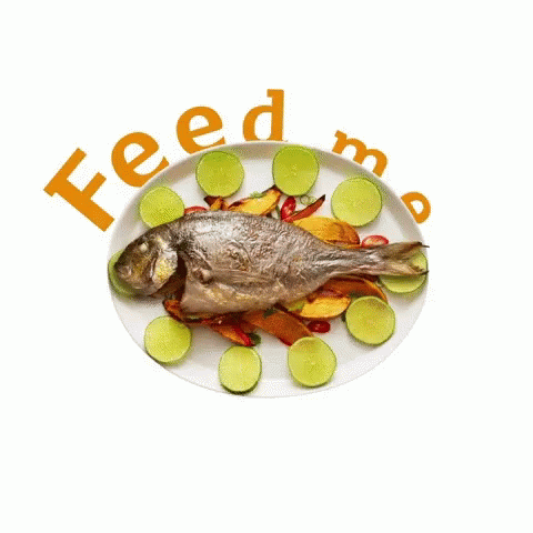 Feed Me Fish GIF - Feed Me Fish Dinner GIFs