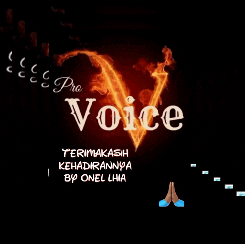 a poster that says pro voice with a heart made of fire